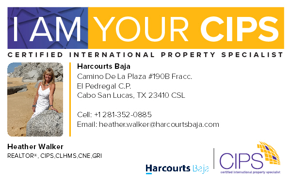 REALTOR® Profile Picture